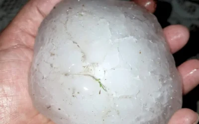 Fuerte tormenta en San Rafael: granizo gigante, caída de árboles y cortes de luz en varias zonas