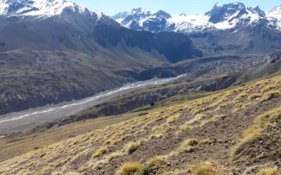 Empresarios del sur mendocino vuelven a reclamar por Paso Las Leñas