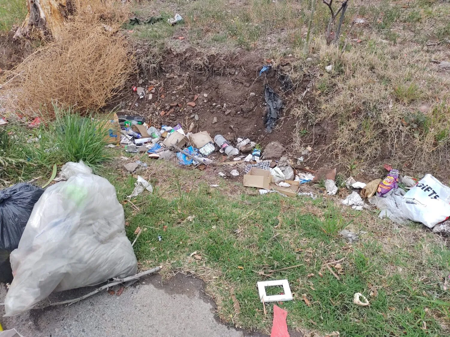 La basura volvió a aparecer pocas horas después de la limpieza.
