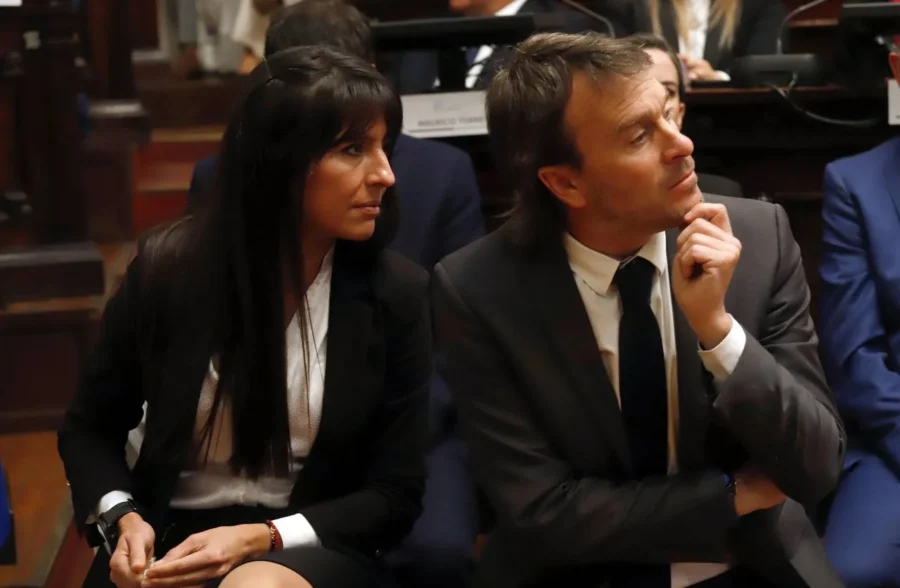 Emergencia en discapacidad: diputados de Cornejo votaron a favor de Milei y generaron polémica en Mendoza