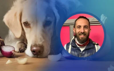 Intoxicaciones en mascotas: qué alimentos y productos pueden resultar peligrosos