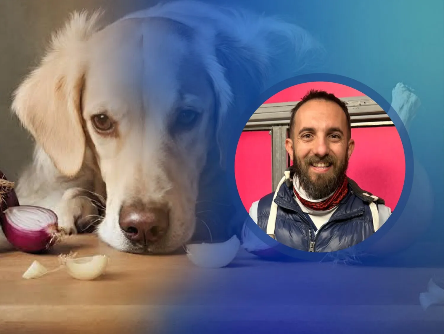 Pablo Noguerol Intoxicaciones en mascotas