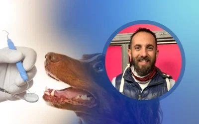 La salud bucal también es clave para el bienestar de las mascotas