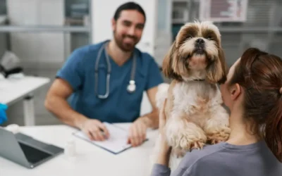 Prevención en mascotas: claves para mejorar su calidad de vida y evitar enfermedades