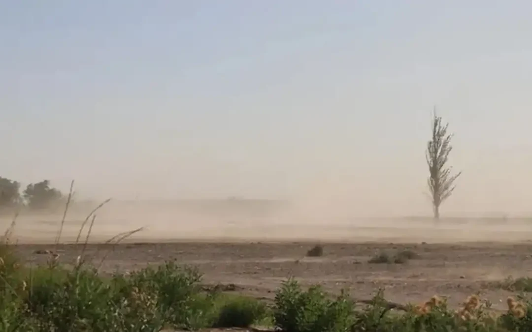 Continúa la Alerta por fuertes vientos en San Rafael y General Alvear: extienden el aviso para toda la jornada
