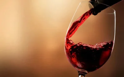 La industria vitivinícola atraviesa un momento complejo, con la cosecha ya iniciada