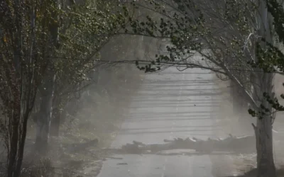 Suspensión de clases presenciales en Malargüe por viento Zonda